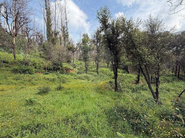 Terreno à venda em São Martinho das Moitas e Covas do Rio, São Pedro do Sul RE/MAX Portugal