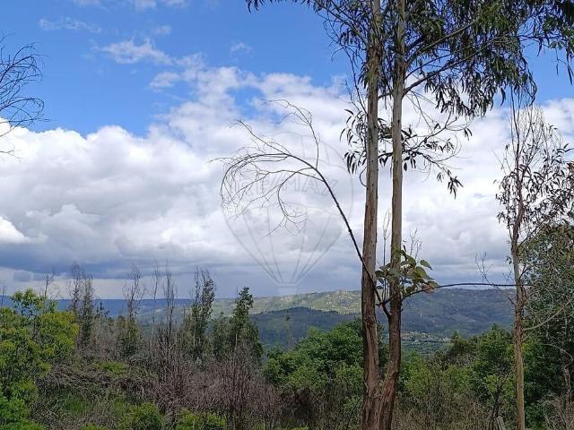 Terreno à venda em São Martinho das Moitas e Covas do Rio, São Pedro do Sul RE/MAX Portugal