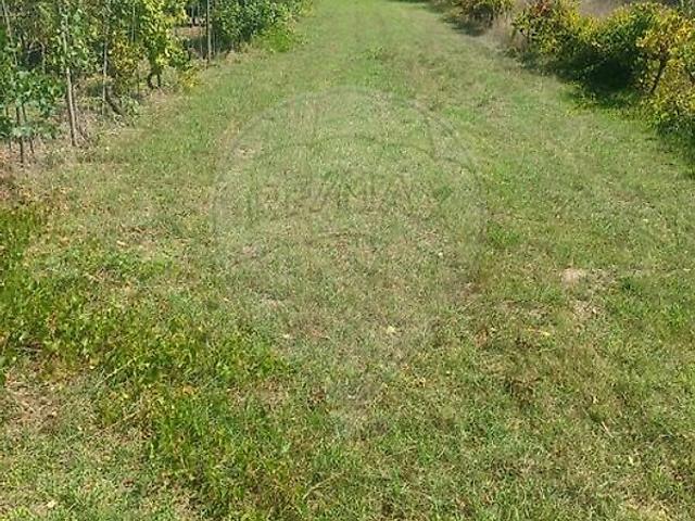 Terreno à venda em São Martinho de Árvore e Lamarosa, Coimbra RE/MAX Portugal