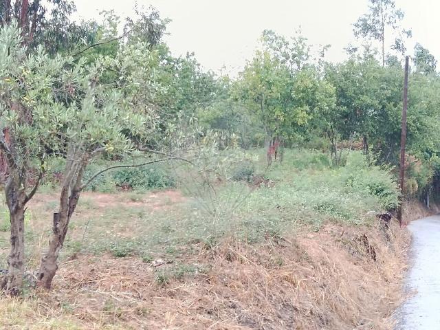 Terreno à venda em São Martinho de Árvore e Lamarosa, Coimbra RE/MAX Portugal