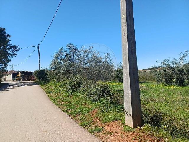 Terreno à venda em São Martinho de Árvore e Lamarosa, Coimbra RE/MAX Portugal