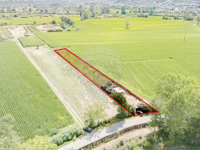 Terreno à venda em São Martinho do Bispo e Ribeira de Frades, Coimbra RE/MAX Portugal