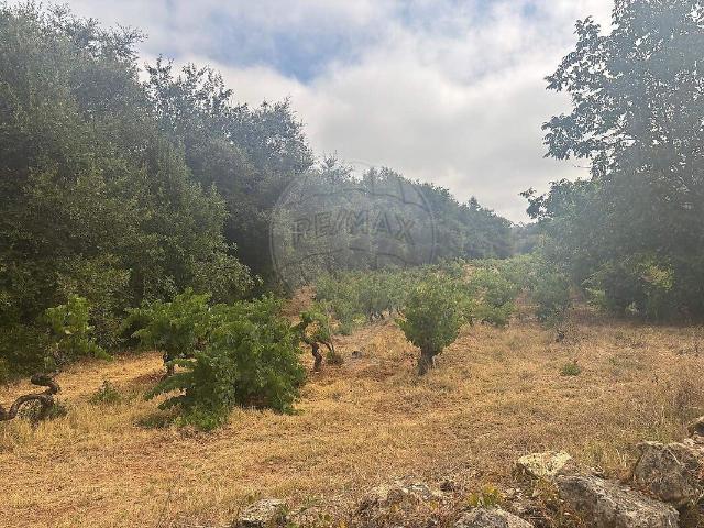 Terreno à venda em São Miguel, Santa Eufémia e Rabaçal, Penela RE/MAX Portugal
