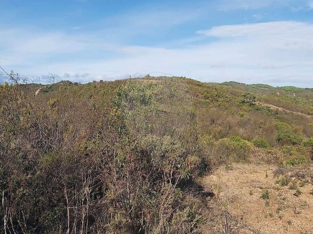 Terreno à venda em São Bartolomeu de Messines, Silves RE/MAX Portugal
