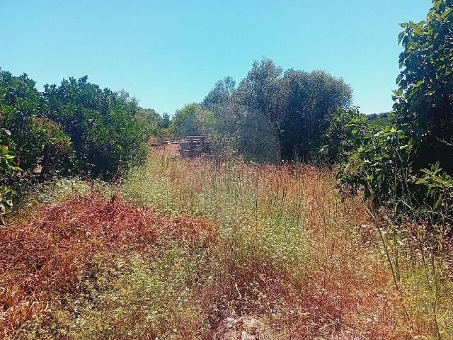 Terreno à venda em São Bartolomeu de Messines, Silves RE/MAX Portugal