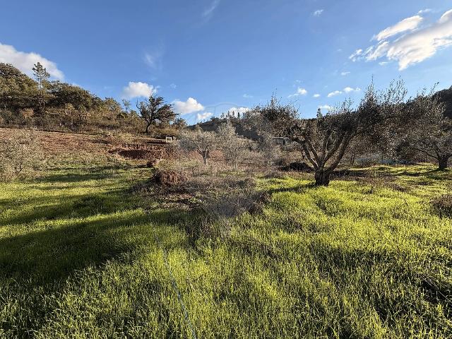 Terreno à venda em São Bartolomeu de Messines, Silves RE/MAX Portugal