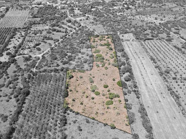 Terreno à venda em São Bartolomeu de Messines, Silves RE/MAX Portugal