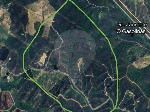 Terreno à venda em São Bartolomeu de Messines, Silves RE/MAX Portugal