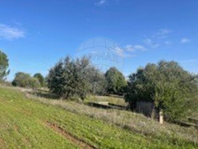 Terreno à venda em São Bento do Mato, Évora RE/MAX Portugal