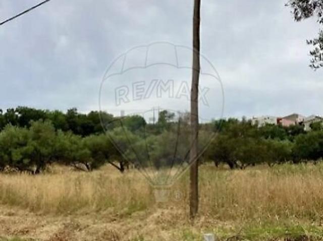 Terreno à venda em São Brás de Alportel, São Brás de Alportel RE/MAX Portugal