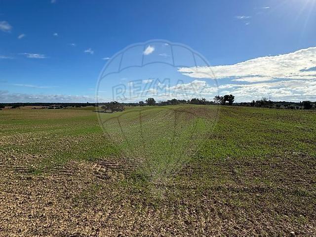 Terreno à venda em São Domingos e Vale de Água, Santiago do Cacém RE/MAX Portugal