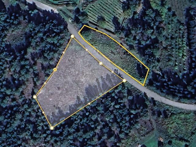 Terreno à venda em São João da Fresta, Mangualde RE/MAX Portugal