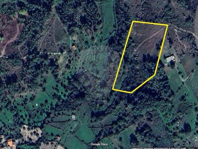 Terreno à venda em São João da Fresta, Mangualde RE/MAX Portugal