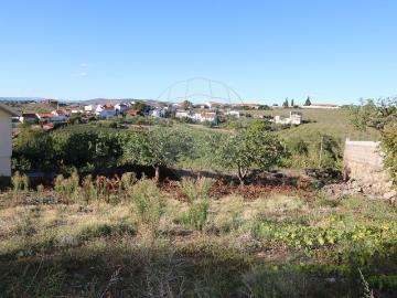 Terreno à venda em São João da Pesqueira