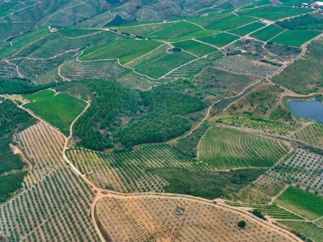 Terreno à venda em São João da Pesqueira