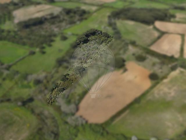 Terreno à venda em São João das Lampas e Terrugem, Sintra RE/MAX Portugal