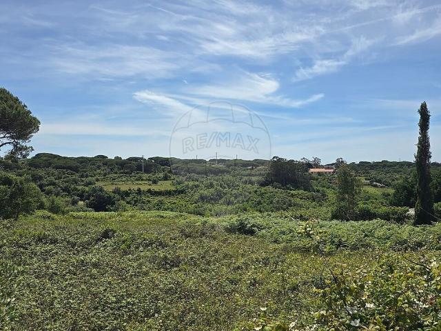 Terreno à venda em São João das Lampas e Terrugem, Sintra RE/MAX Portugal