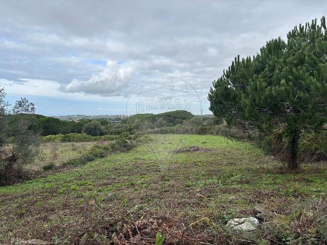 Terreno à venda em São João das Lampas e Terrugem, Sintra RE/MAX Portugal