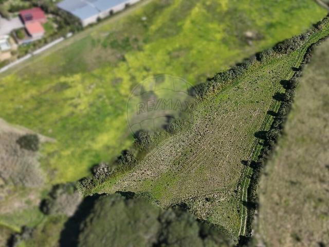 Terreno à venda em São João das Lampas e Terrugem, Sintra RE/MAX Portugal