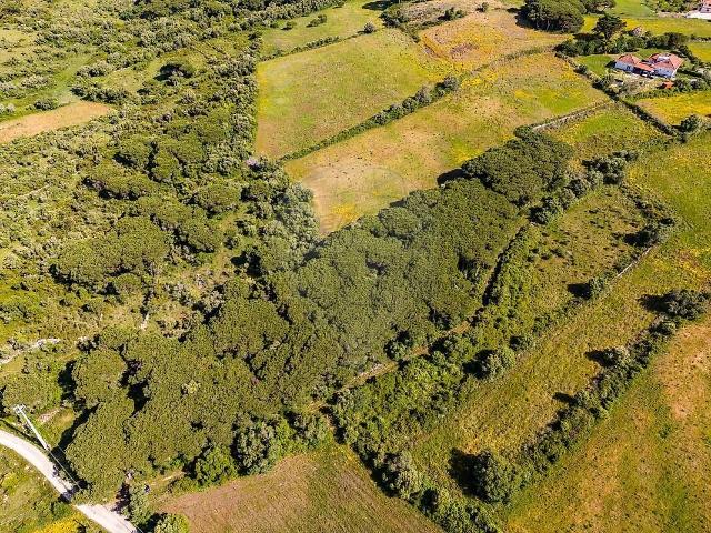 Terreno à venda em São João das Lampas e Terrugem, Sintra RE/MAX Portugal