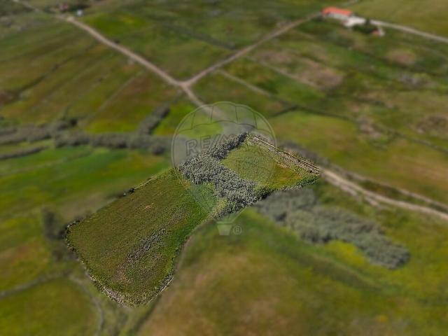 Terreno à venda em São João das Lampas e Terrugem, Sintra RE/MAX Portugal
