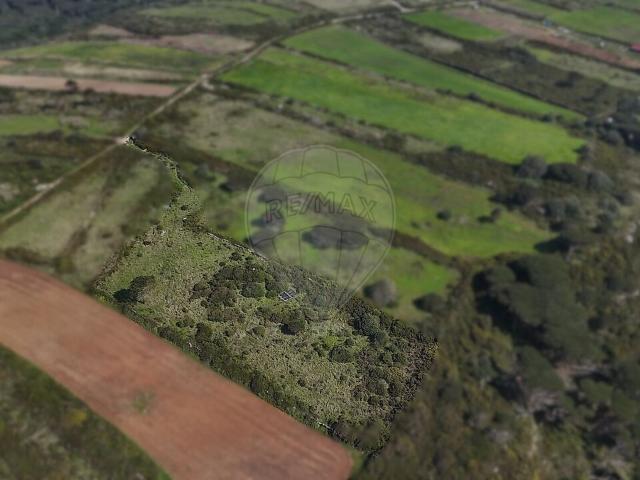 Terreno à venda em São João das Lampas e Terrugem, Sintra RE/MAX Portugal