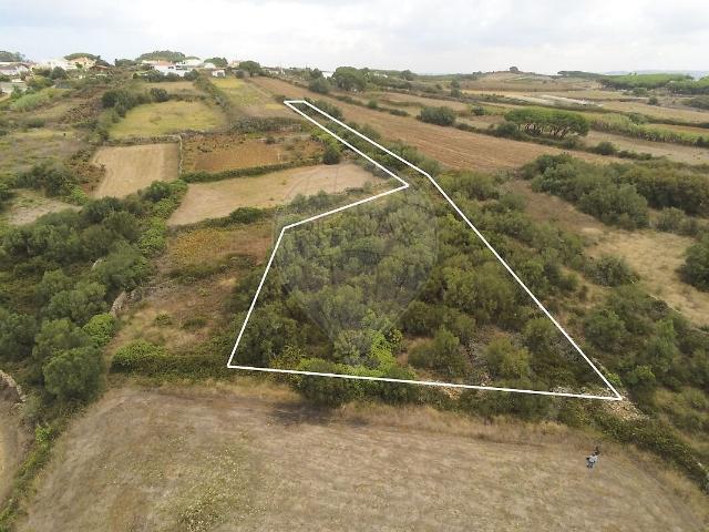 Terreno à venda em São João das Lampas e Terrugem, Sintra RE/MAX Portugal