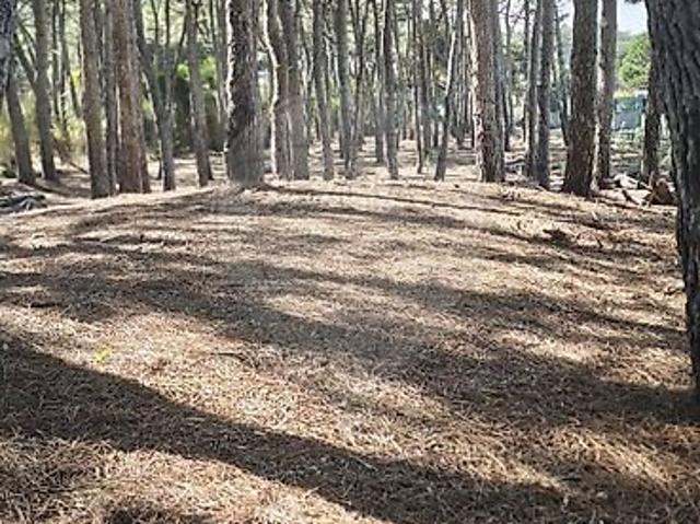 Terreno à venda em São João das Lampas e Terrugem, Sintra RE/MAX Portugal
