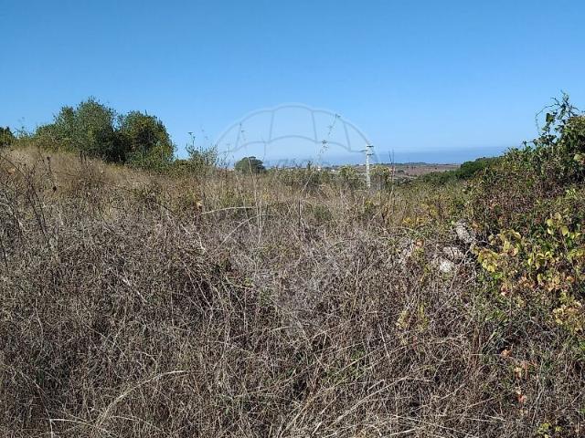 Terreno à venda em São João das Lampas e Terrugem, Sintra RE/MAX Portugal