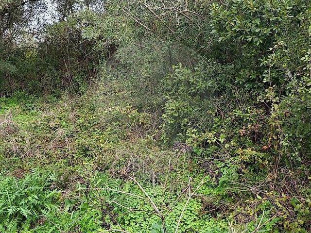 Terreno à venda em São João das Lampas e Terrugem, Sintra RE/MAX Portugal