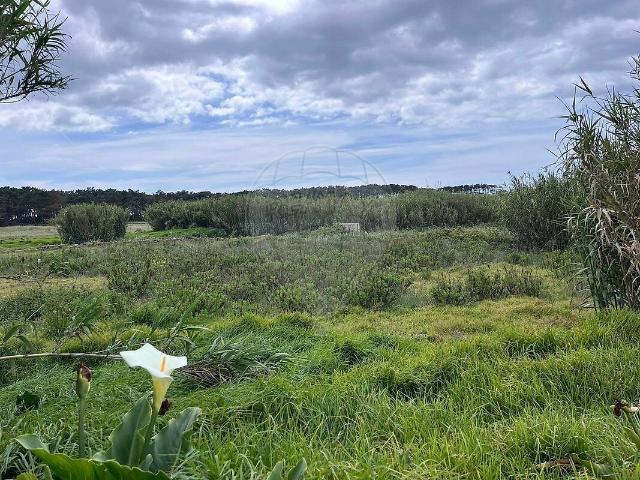 Terreno à venda em São João das Lampas e Terrugem, Sintra RE/MAX Portugal