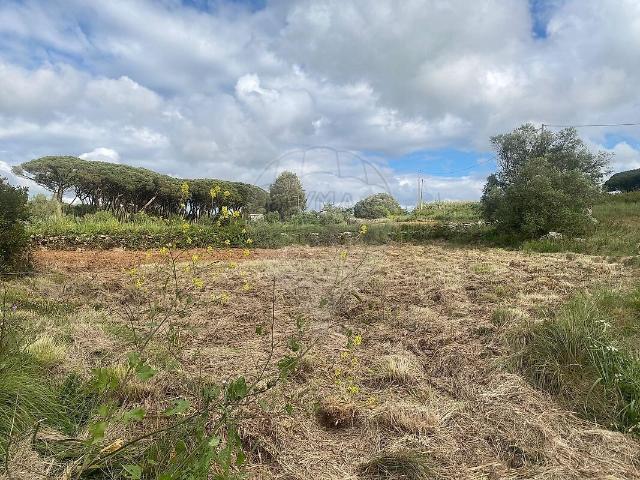 Terreno à venda em São João das Lampas e Terrugem, Sintra RE/MAX Portugal