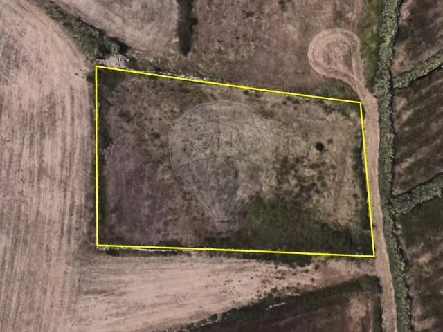 Terreno à venda em São João das Lampas e Terrugem, Sintra RE/MAX Portugal