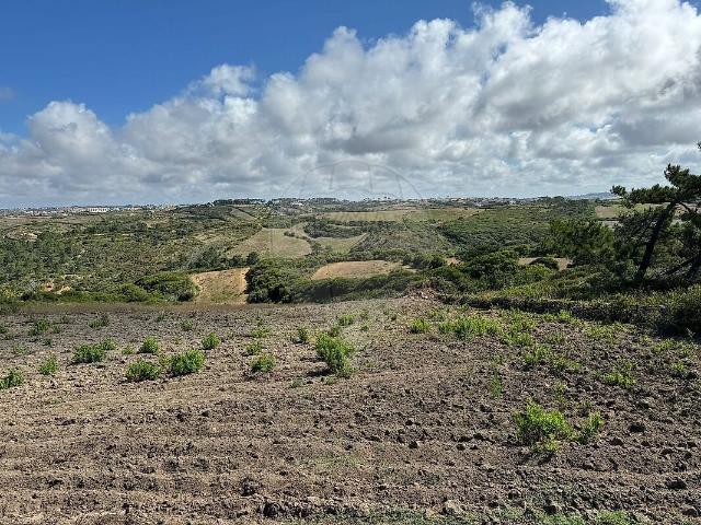 Terreno à venda em São João das Lampas e Terrugem, Sintra RE/MAX Portugal