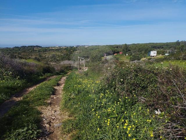 Terreno à venda em São João das Lampas e Terrugem, Sintra RE/MAX Portugal