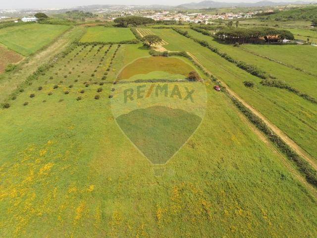 Terreno à venda em São João das Lampas e Terrugem, Sintra RE/MAX Portugal