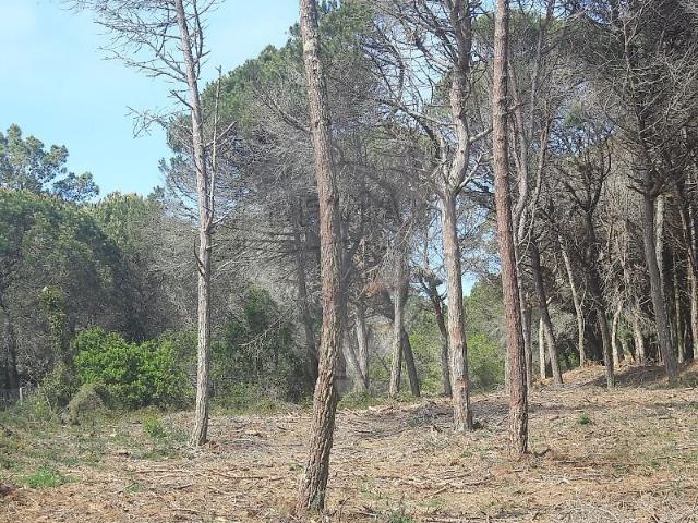 Terreno à venda em São João das Lampas e Terrugem, Sintra RE/MAX Portugal