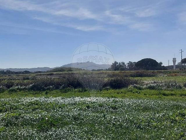 Terreno à venda em São João das Lampas e Terrugem, Sintra RE/MAX Portugal