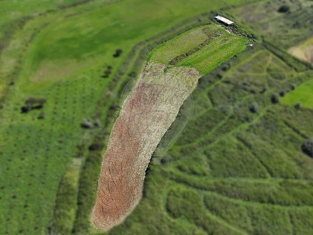 Terreno à venda em São João das Lampas e Terrugem, Sintra RE/MAX Portugal