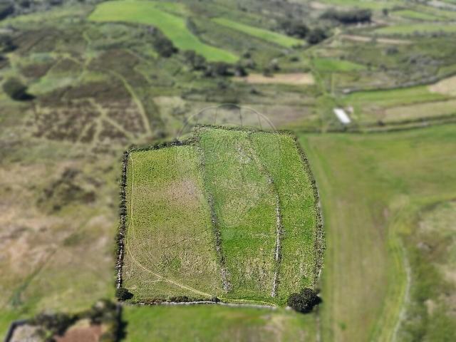 Terreno à venda em São João das Lampas e Terrugem, Sintra RE/MAX Portugal