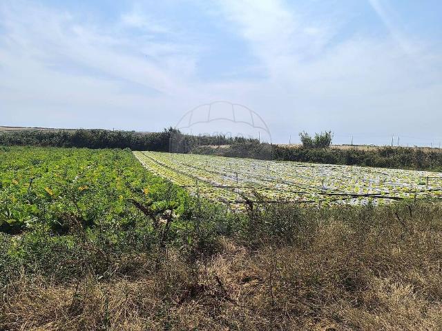 Terreno à venda em São João das Lampas e Terrugem, Sintra RE/MAX Portugal
