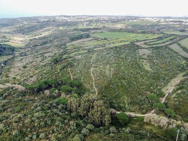Terreno à venda em São João das Lampas e Terrugem, Sintra RE/MAX Portugal