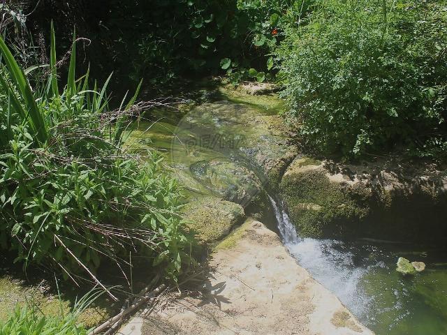 Terreno à venda em São João das Lampas e Terrugem, Sintra RE/MAX Portugal