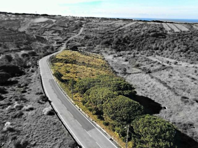 Terreno à venda em São João das Lampas e Terrugem, Sintra RE/MAX Portugal