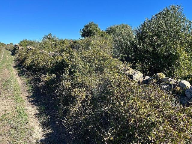 Terreno à venda em São João das Lampas e Terrugem, Sintra RE/MAX Portugal