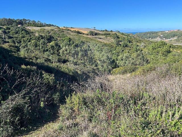 Terreno à venda em São João das Lampas e Terrugem, Sintra RE/MAX Portugal