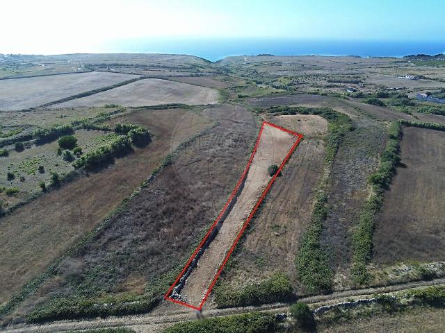 Terreno à venda em São João das Lampas e Terrugem, Sintra RE/MAX Portugal