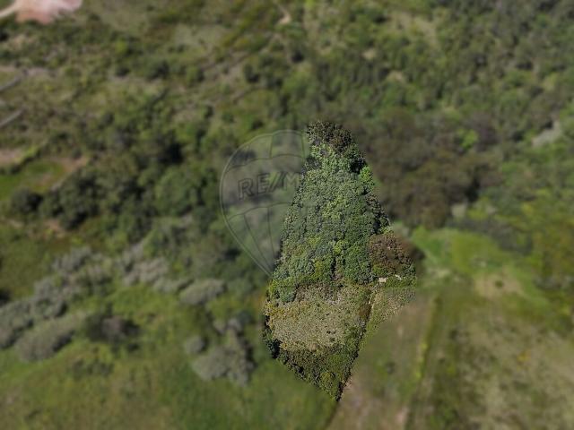 Terreno à venda em São João das Lampas e Terrugem, Sintra RE/MAX Portugal