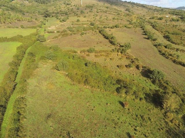 Terreno à venda em São João das Lampas e Terrugem, Sintra RE/MAX Portugal