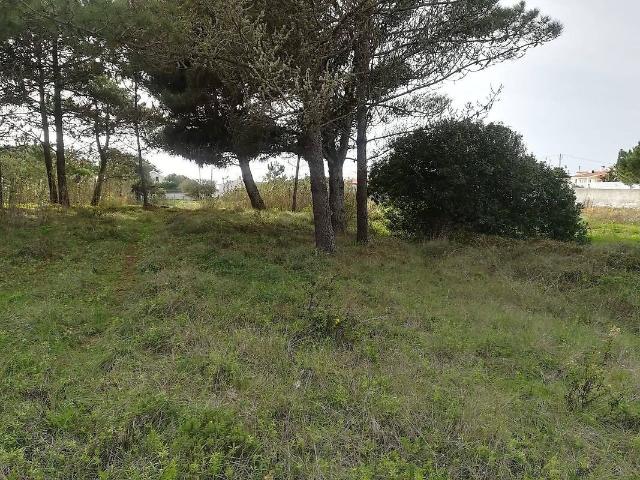 Terreno à venda em São João das Lampas e Terrugem, Sintra RE/MAX Portugal